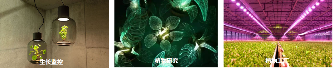 PS-470 植物光合量子传感器