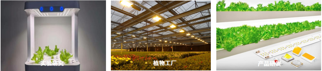 PPID-2000 植物光合光子强度分布测试单元