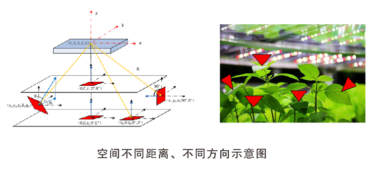 RGO-2000P 植物照明机器人分布测试系统