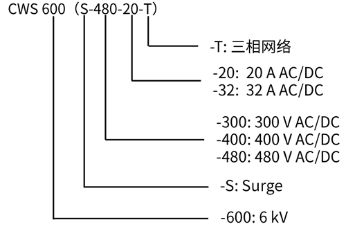 CWS600命名规则.png